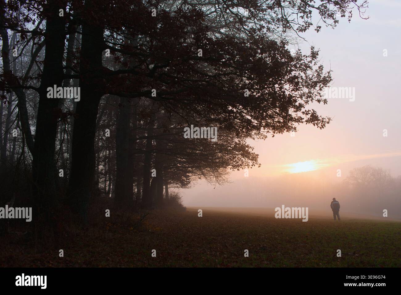 Old man in nature hi-res stock photography and images - Alamy