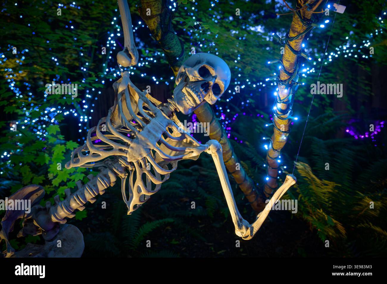 Fright Lights event, Capilano Suspension Bridge Park, N.orth Vancouver, British Columbia, Canada Stock Photo
