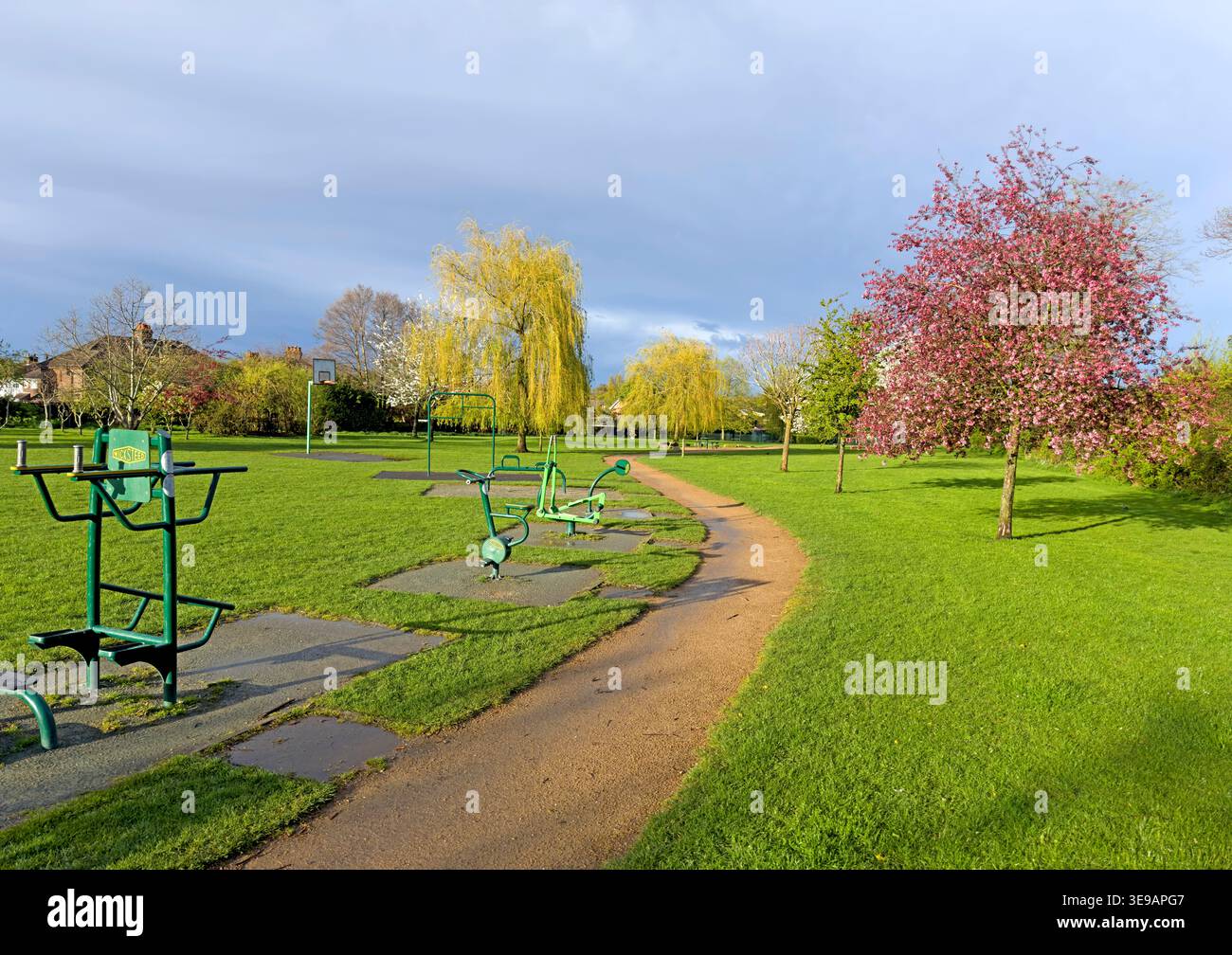 Jubilee Park outdoor exercise equipment in Grappenhall, Warrington, with spring grass, blossom trees and blue sky. Stock Photo