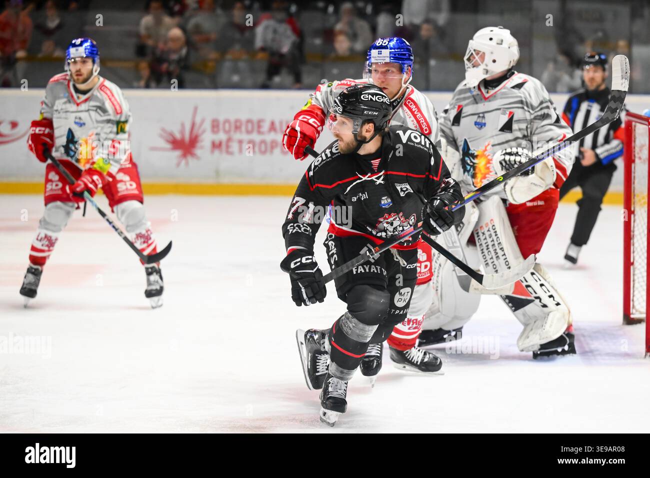 Craig Puffer of Boxers de Bordeaux during the Synerglace Ligue Magnus ...
