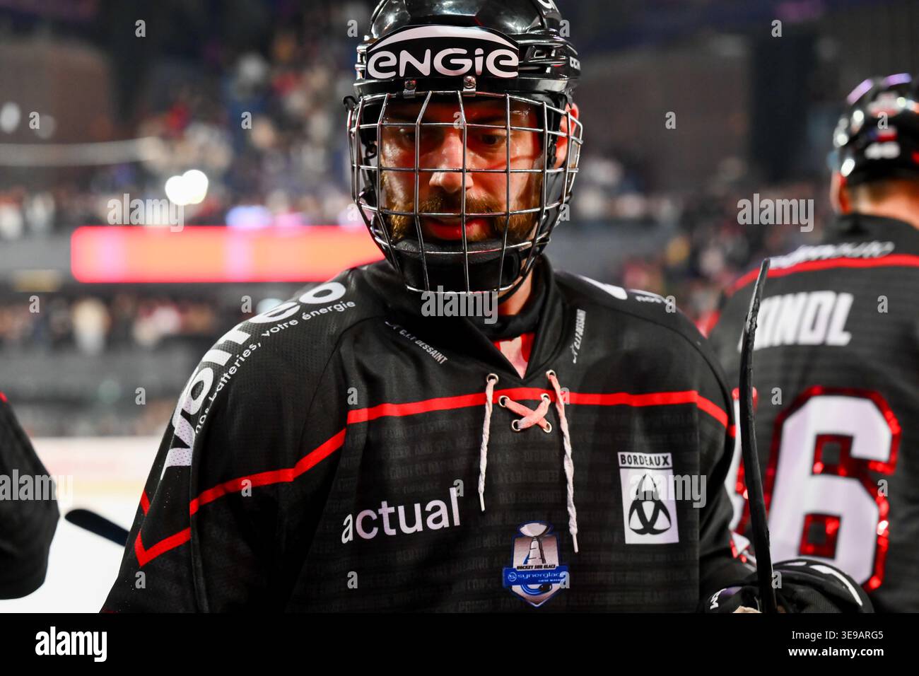 Jeremy Beaudry of Boxers de Bordeaux during the Synerglace Ligue Magnus ...