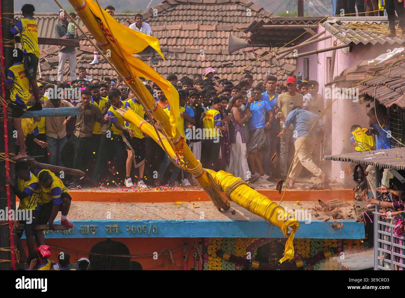 Rayba Devi Rave Onlookers step back as a decorated bamboo pole snaps moments after ...