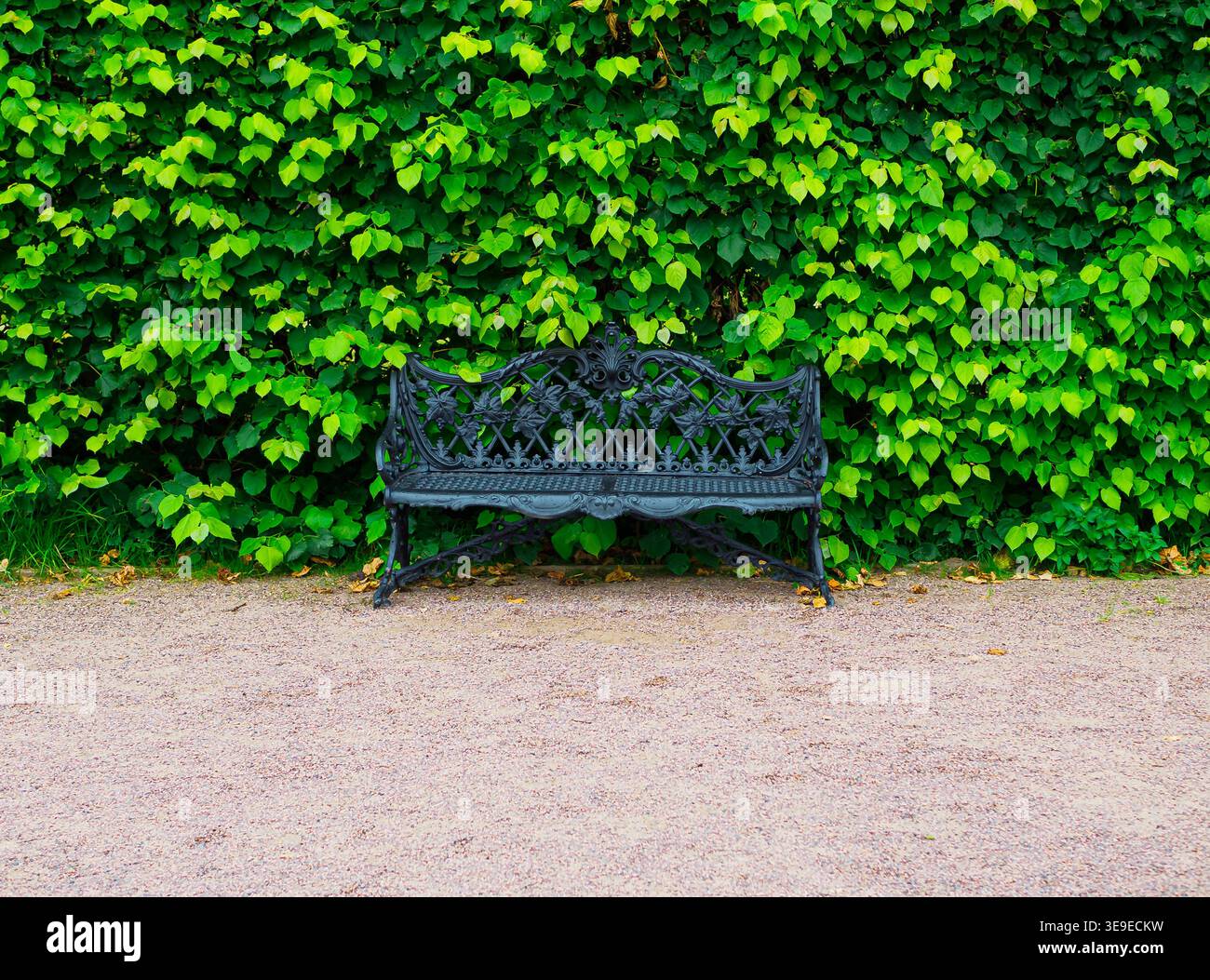 black wrought iron bench in the park Stock Photo