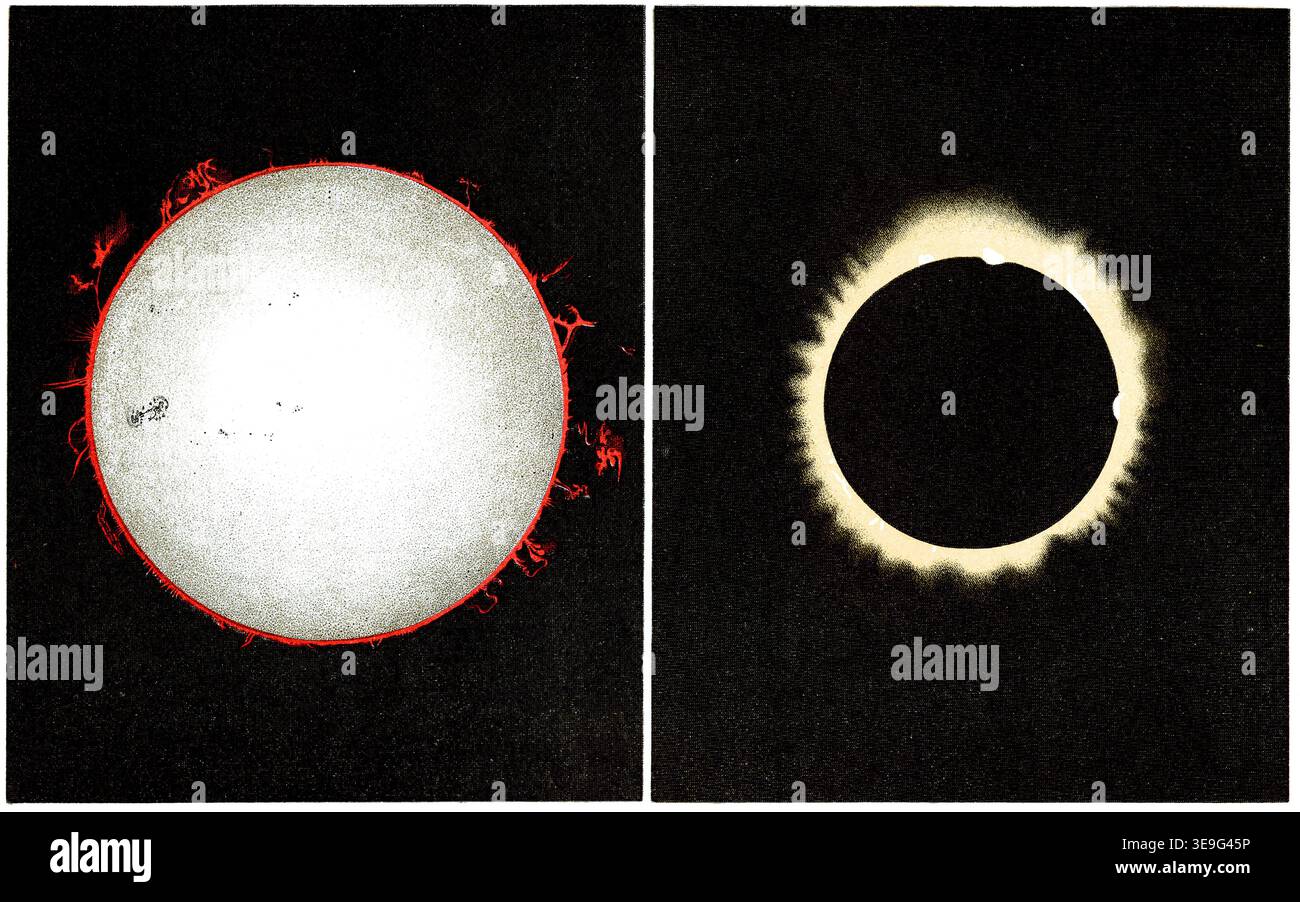 Solar Prominances The solar surface, sunspots and prominences, the corona with ...