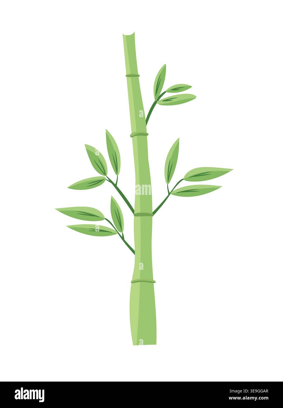 Green sugar cane stalk with leaves isolated on white background, tropical plant element, agriculture and farming concept, modern flat vector Stock Vector