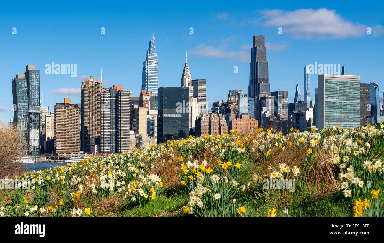 Spring view of Midtown Manhattan skyline and skyscrapers across the East River from Hunter’s Point South Park, Queens, New York City Stock Photo