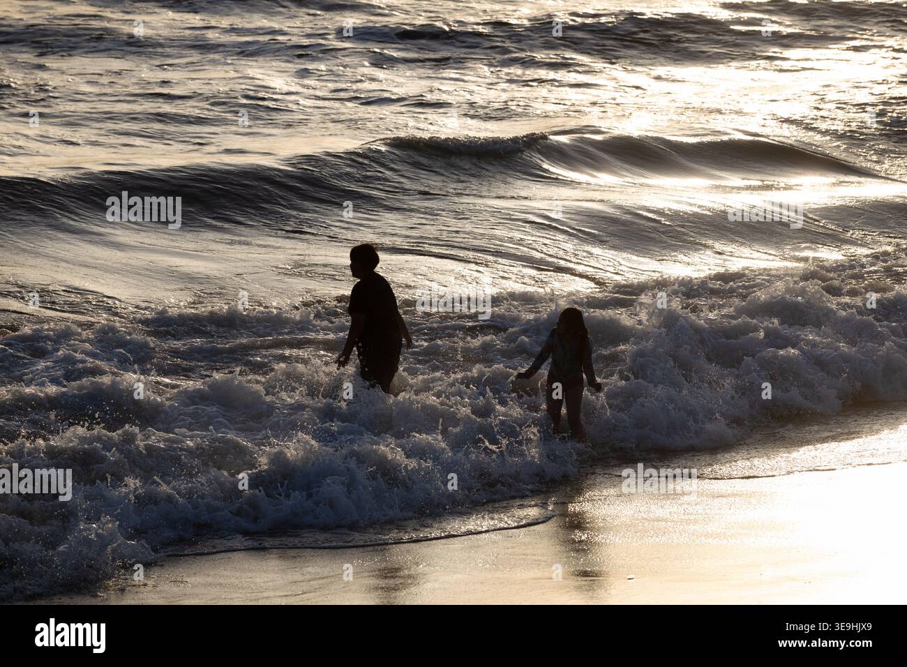 Silhouettes of people wading in ocean at sunset, Santa Monica, California, USA Stock Photo