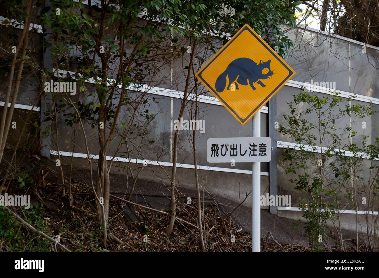A sign on the side of a road warning motorists that wild animals might be on the road in rural Kanagawa, Japan. Stock Photo