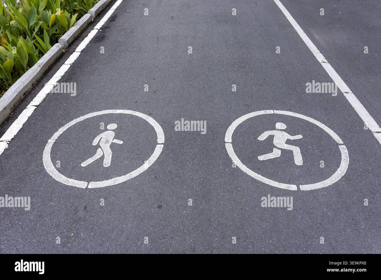 Peaceful outdoor park asphalt path featuring white painted symbol sign ...