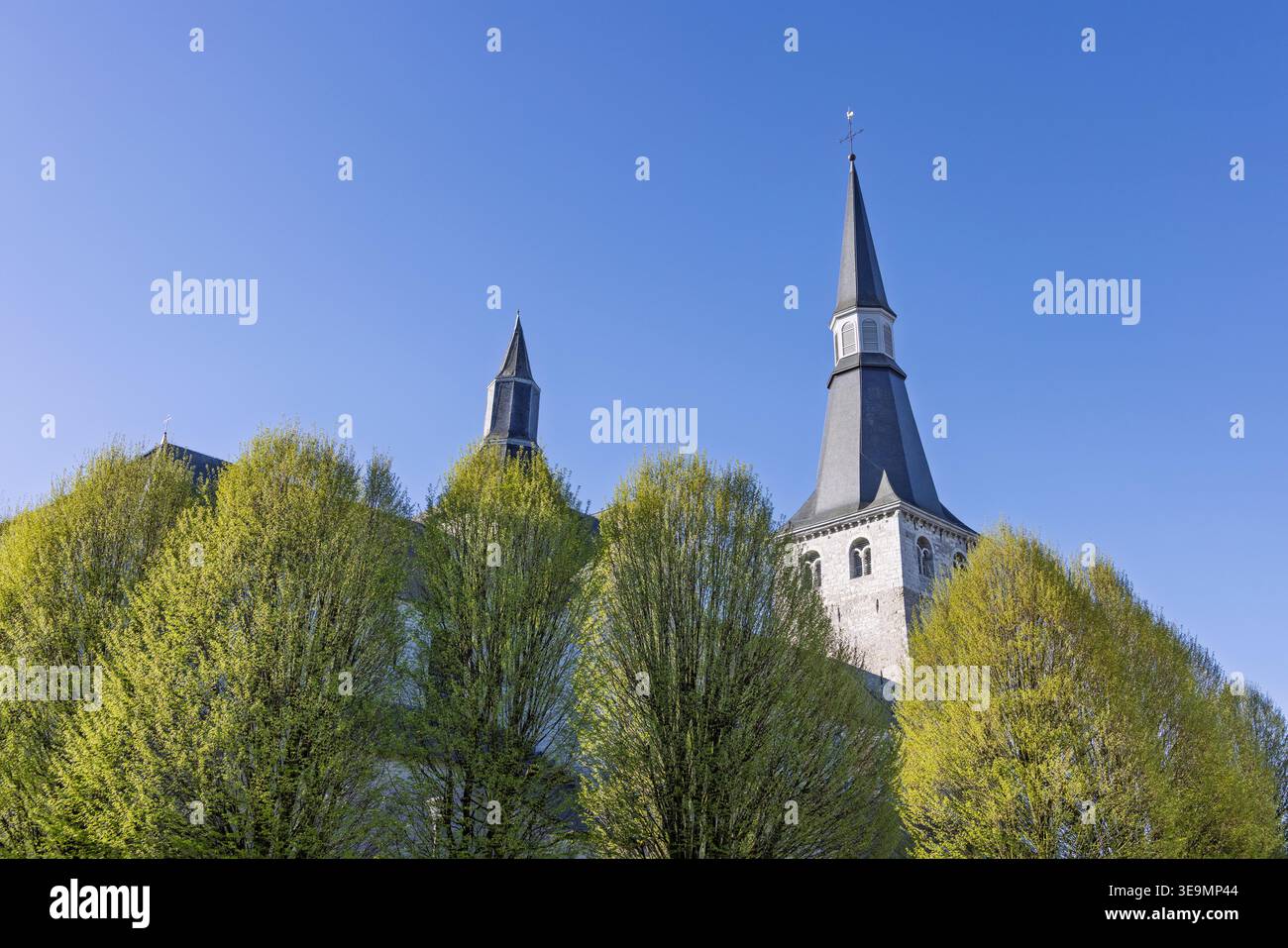 Ciney, Belgium. The pointed steeples of the Collegiate Church of Saint Nicholas seen rising above vibrant green spring trees. Stock Photo