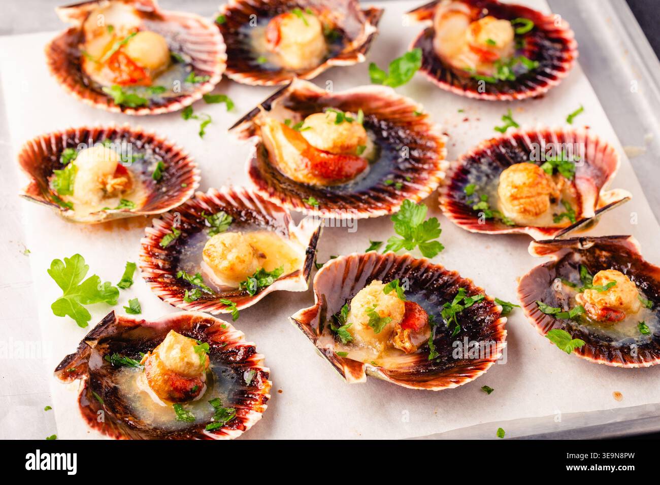Cooked scallops with parsley on a baking sheet Stock Photo