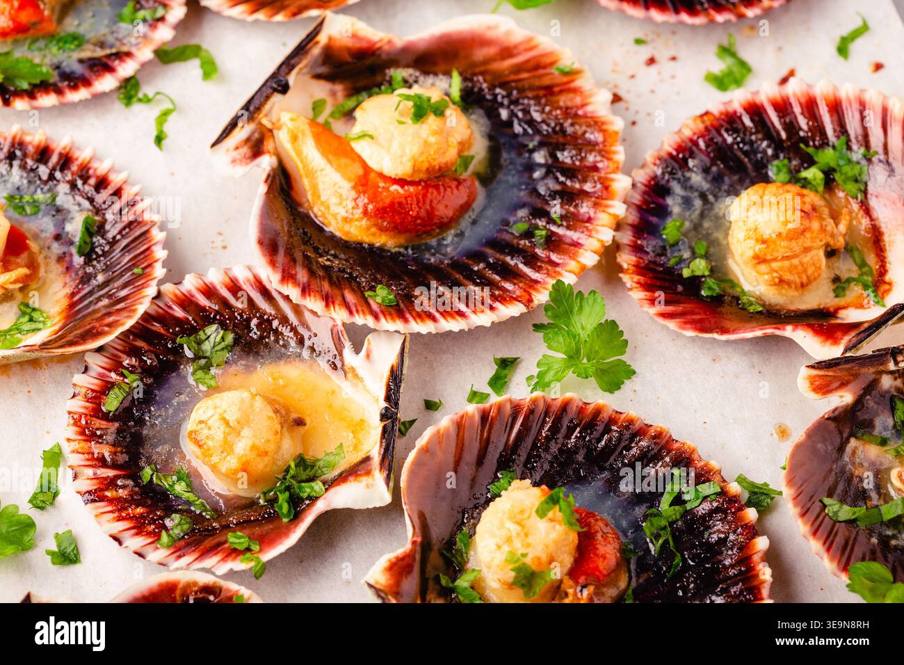 Cooked scallops with parsley on a baking sheet Stock Photo