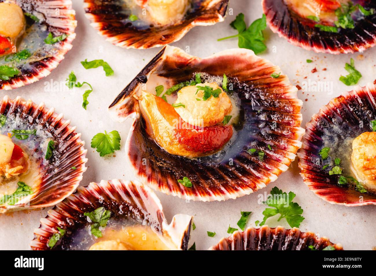 Cooked scallops with parsley on a baking sheet Stock Photo