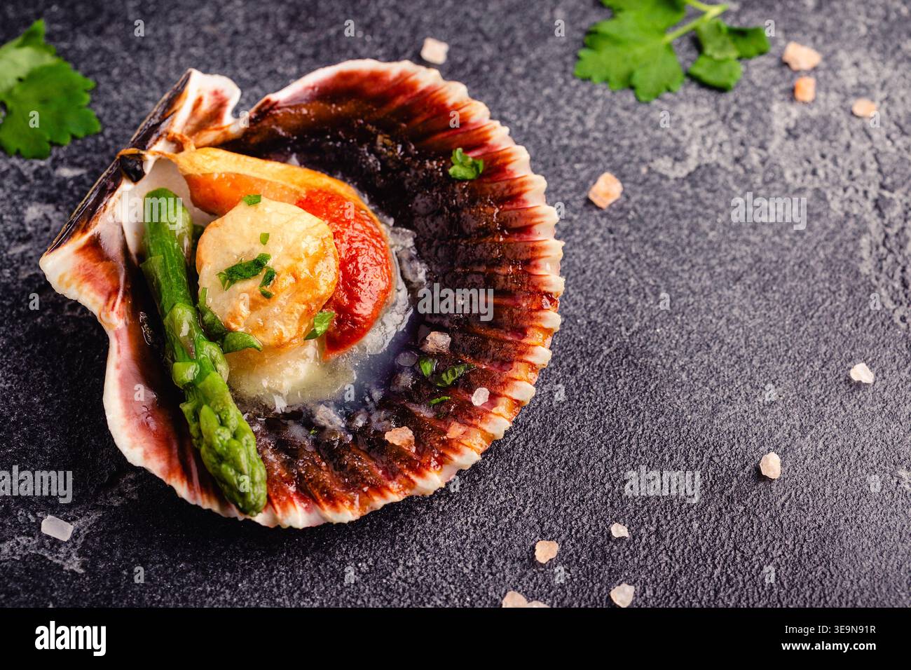 Cooked scallops with vegetables on a dark background Stock Photo