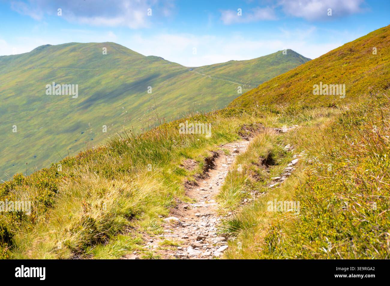 summer landscape. mountain path through the grassy slope turns uphill to the sky. scenic view. hiking trail path through borzhava ridge. travel ukrain Stock Photo