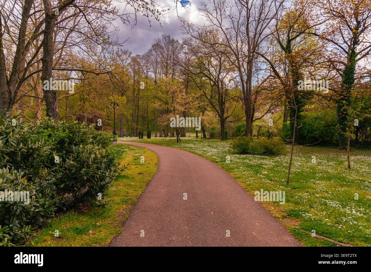 Curving Path Through Springtime Park Landscape Stock Photo
