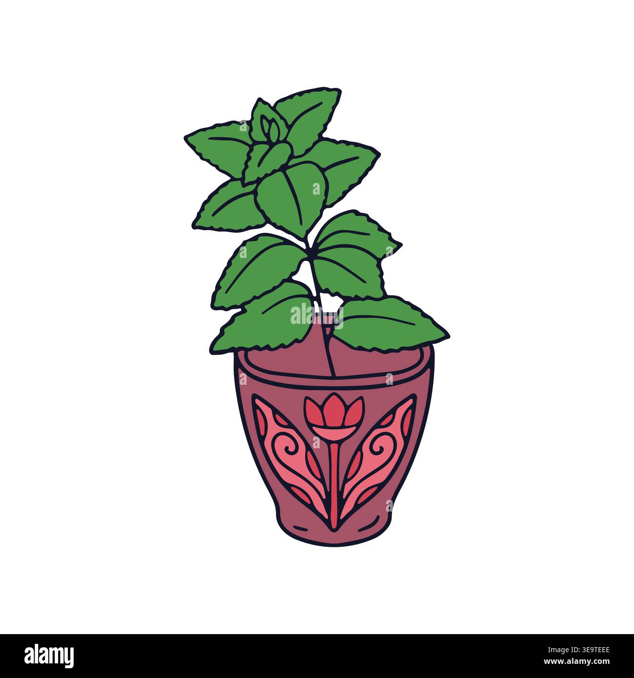 Hand drawn line art mint plant in pot icon vector illustration. Doodle aromatic tea herb clipart Stock Vector
