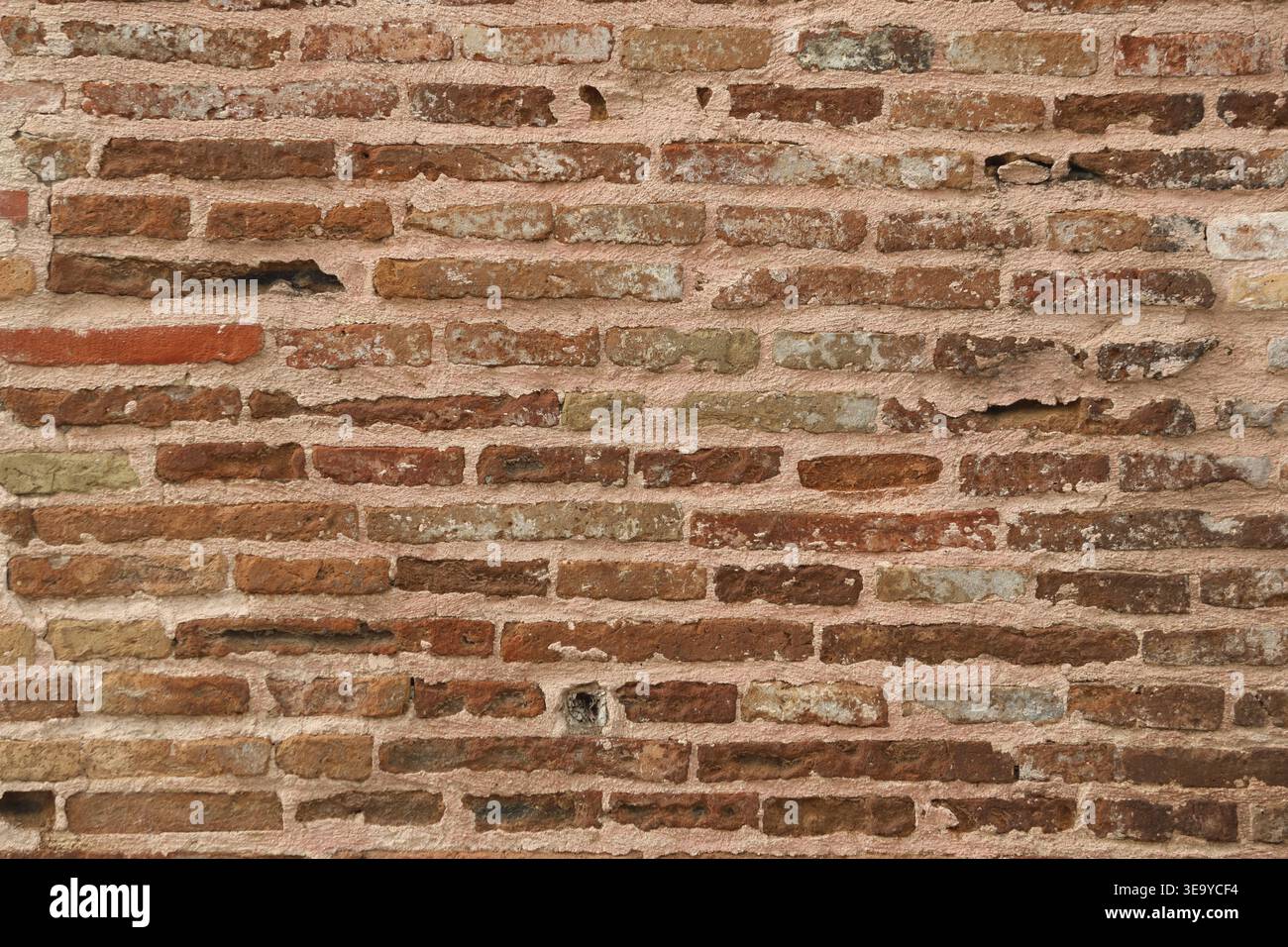 close up of brick wall texture Stock Photo