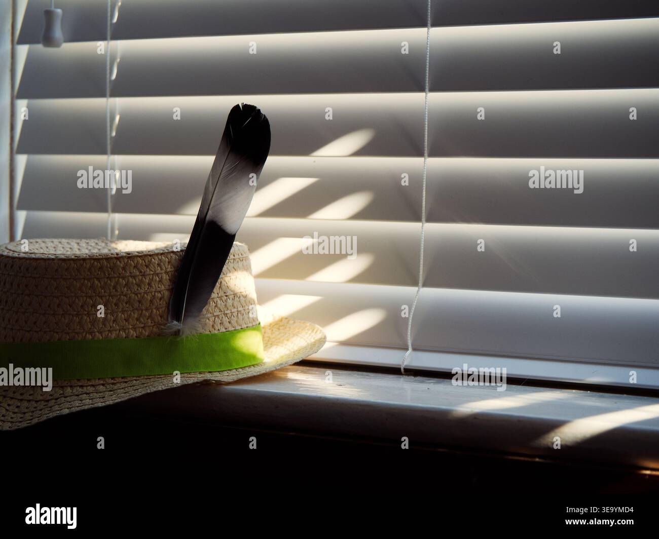 Feather in your cap hi-res stock photography and images - Alamy
