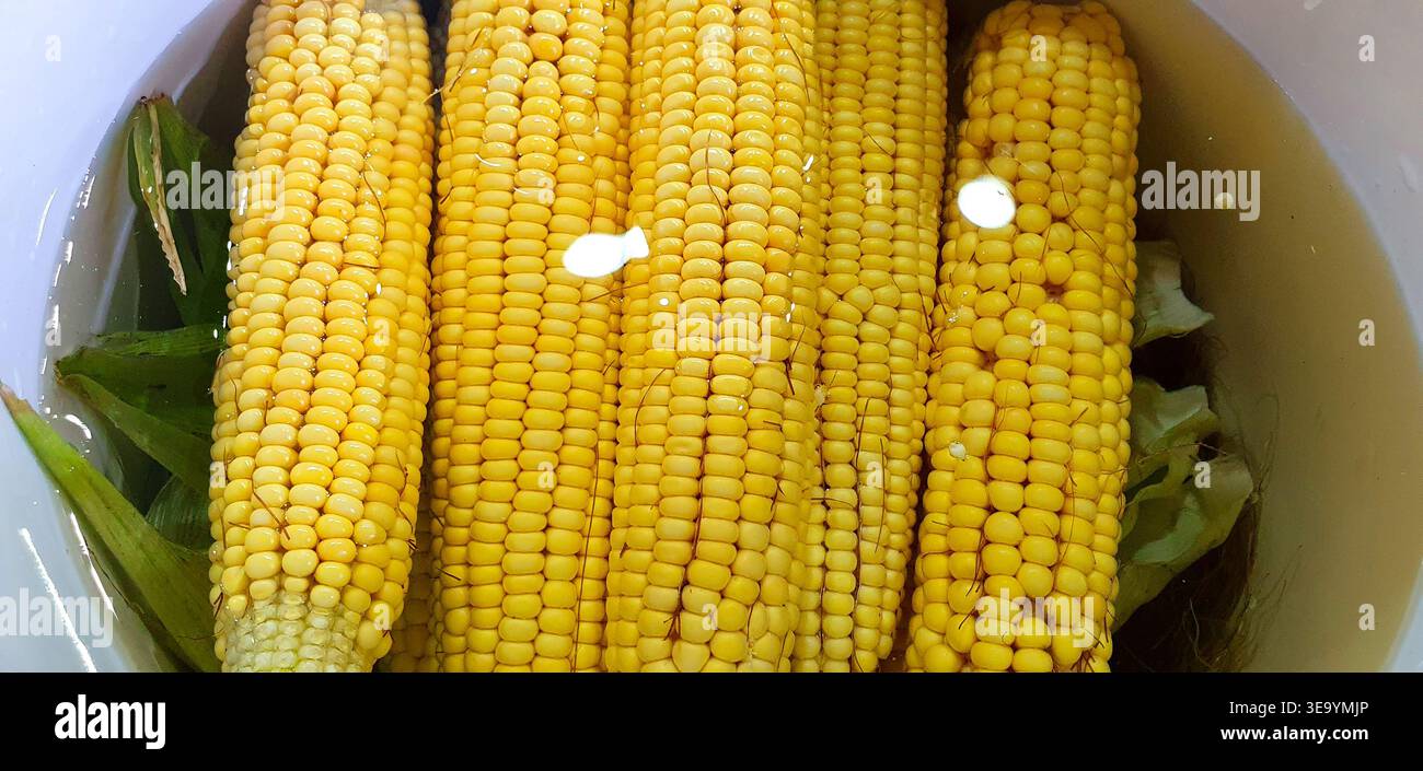 Boiled corn cobs,selective focus Stock Photo
