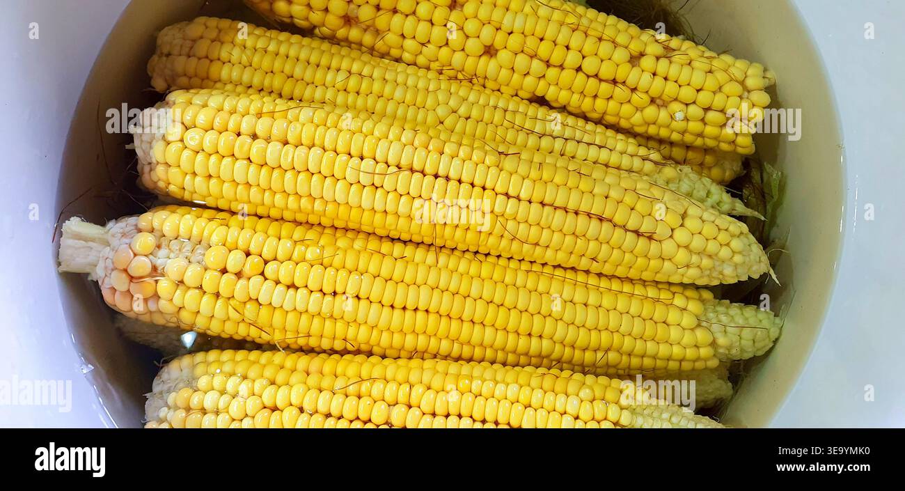 Boiled corn cobs,selective focus Stock Photo