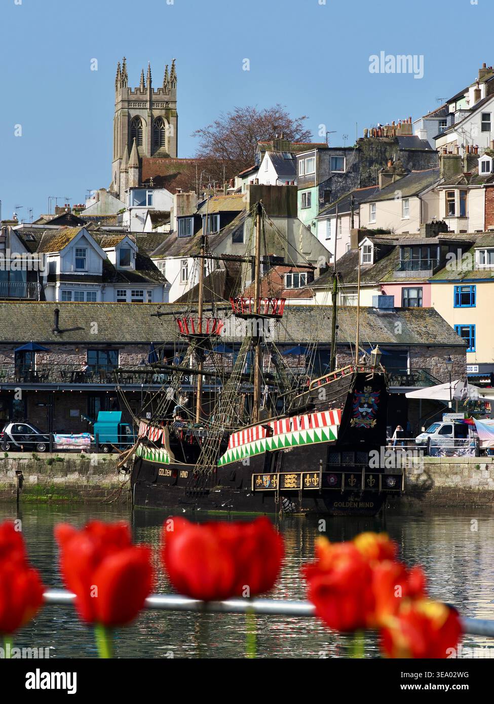 Devon Spring Time The golden hind in brixham harbour hi-res stock photography and images ...