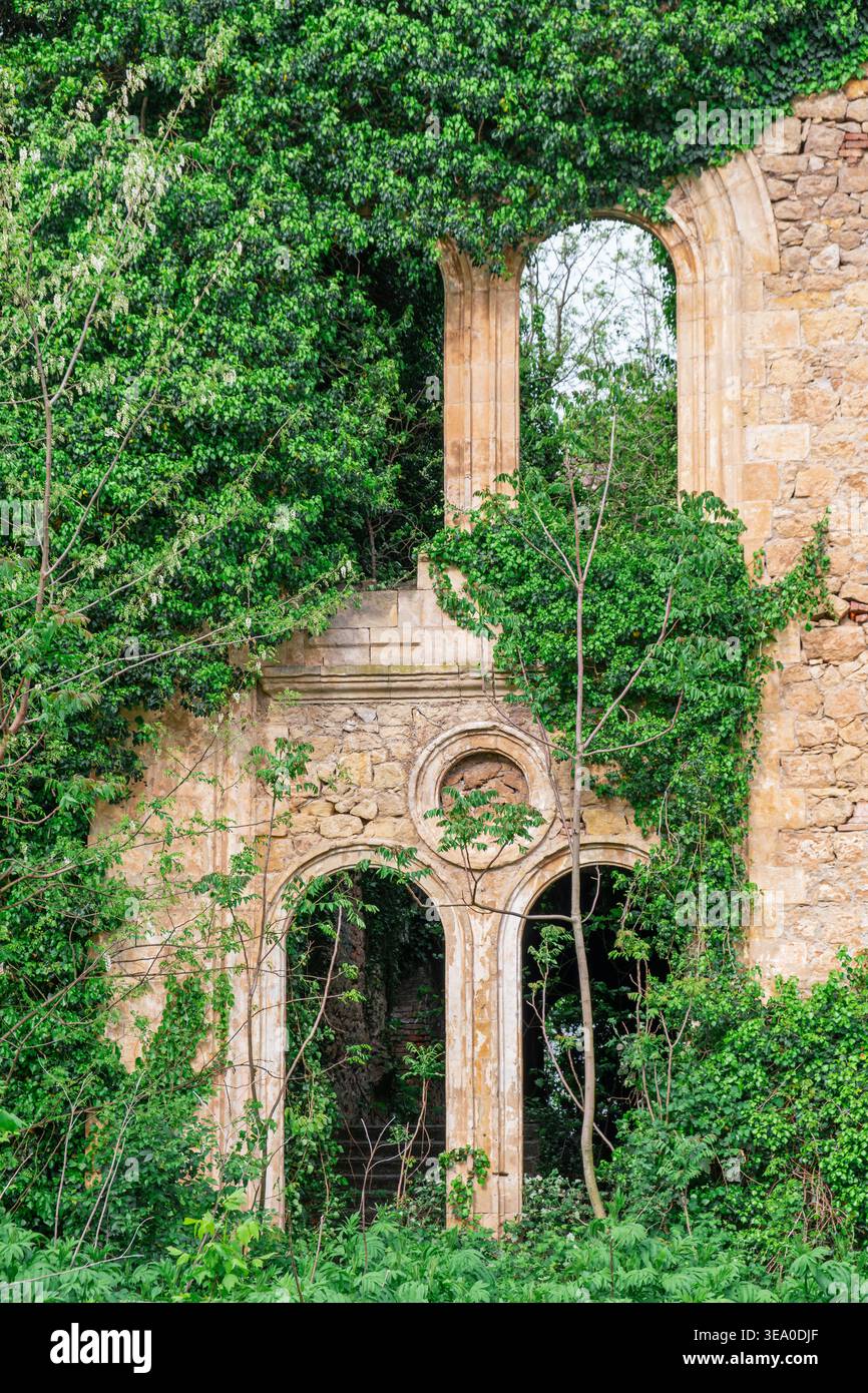 Abandoned stone building ruins overgrown with lush vegetation, ancient architecture covered with green ivy plant. Haunted ruined house. Forgotten Stock Photo
