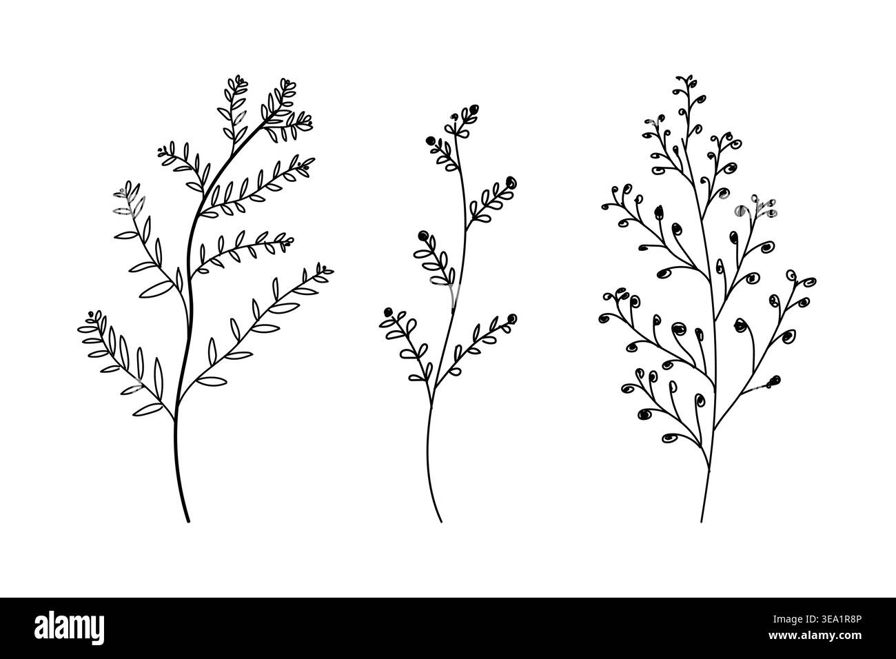 Handdrawn natural lined leaf design, abstract botnical desing, floral elements Stock Vector