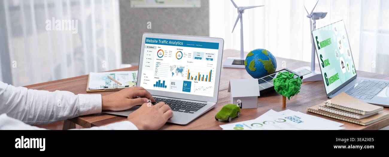 Computer software for website traffic analytics data on computer screen. Concept of SEO search engine optimization and customer targeting for online Stock Photo