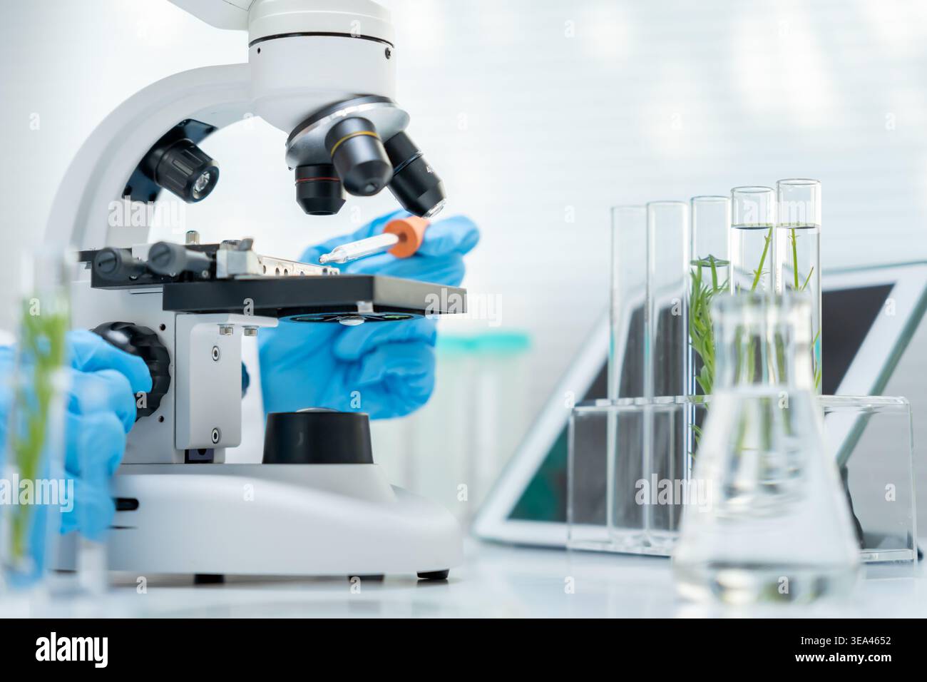 Scientist analyze biochemical samples in advanced scientific laboratory ...