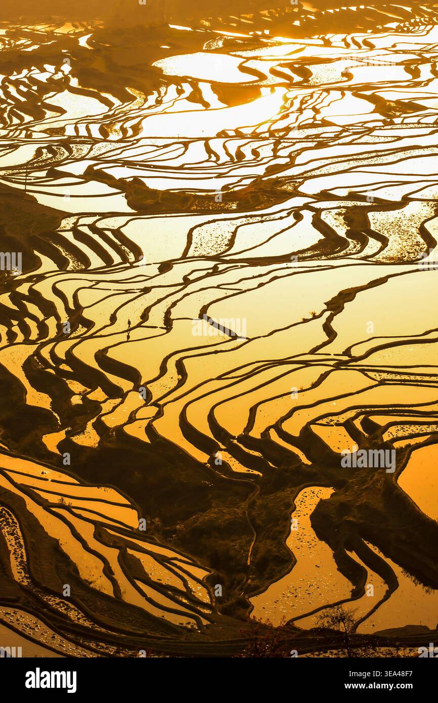 Aerial view of Honghe Hani Rice Terraces or Yuanyang Rice Terraces at ...
