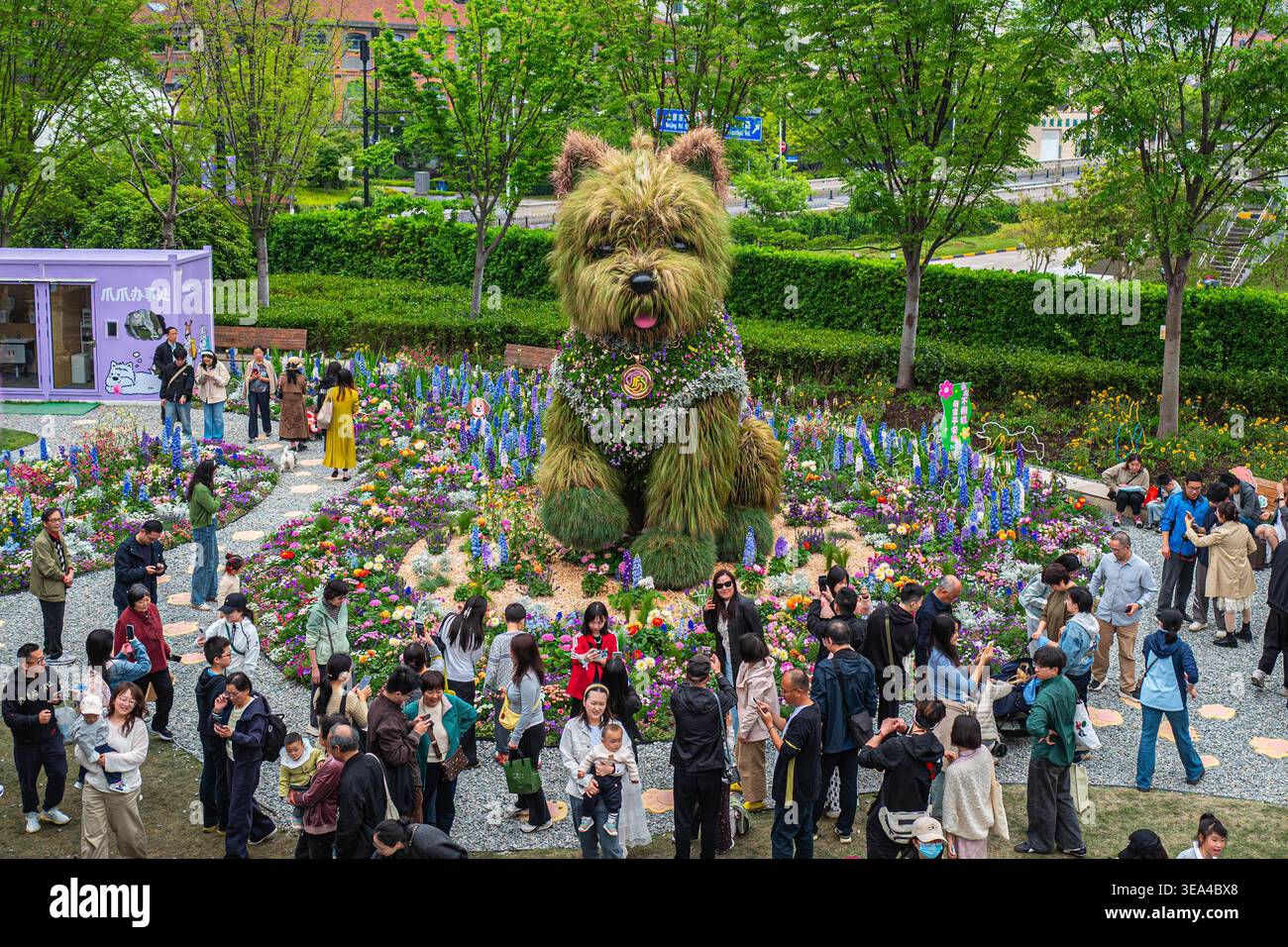 Visitors enjoy floral displays at the 2026 Shanghai International ...