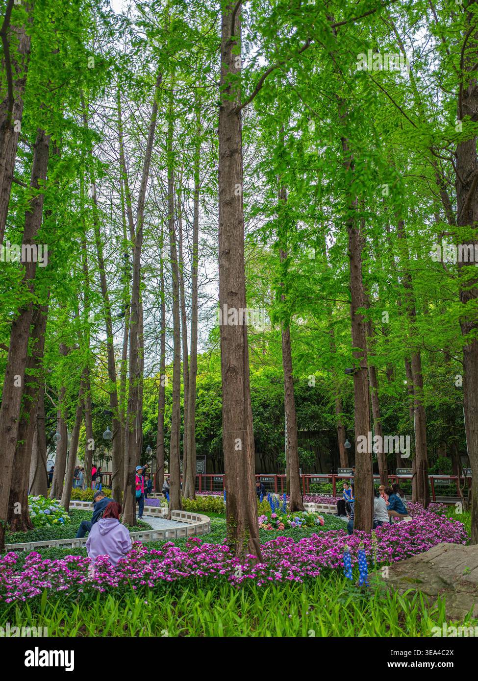 Visitors enjoy floral displays at the 2026 Shanghai International ...