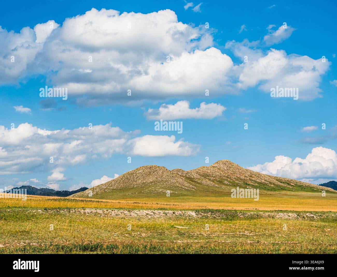 Vast golden grasslands meeting rocky hills under a brilliant blue sky with puffy white clouds Stock Photo
