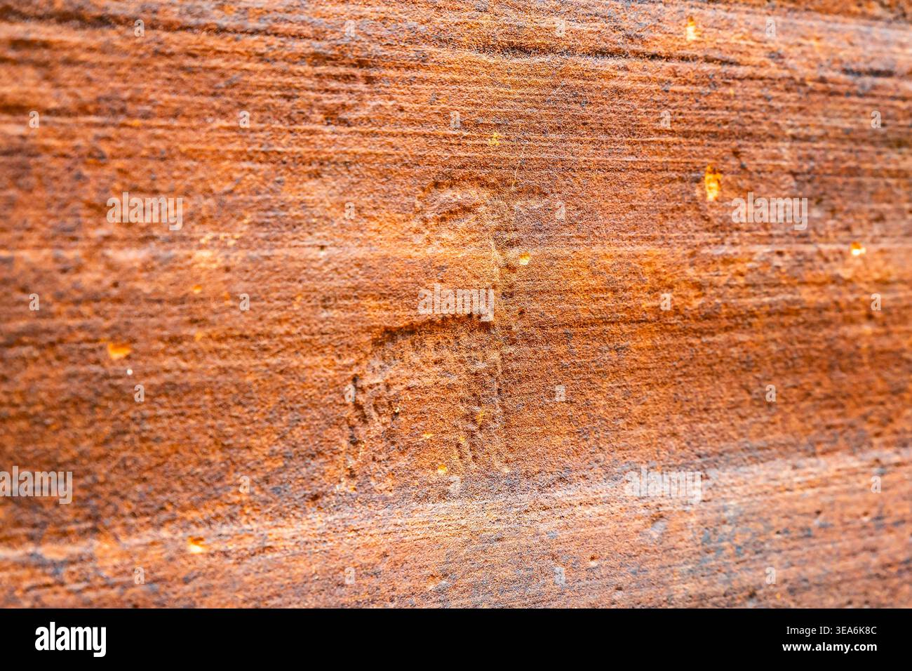 Ancient bighorn sheep petroglyph carved into red rock wall along Wire ...