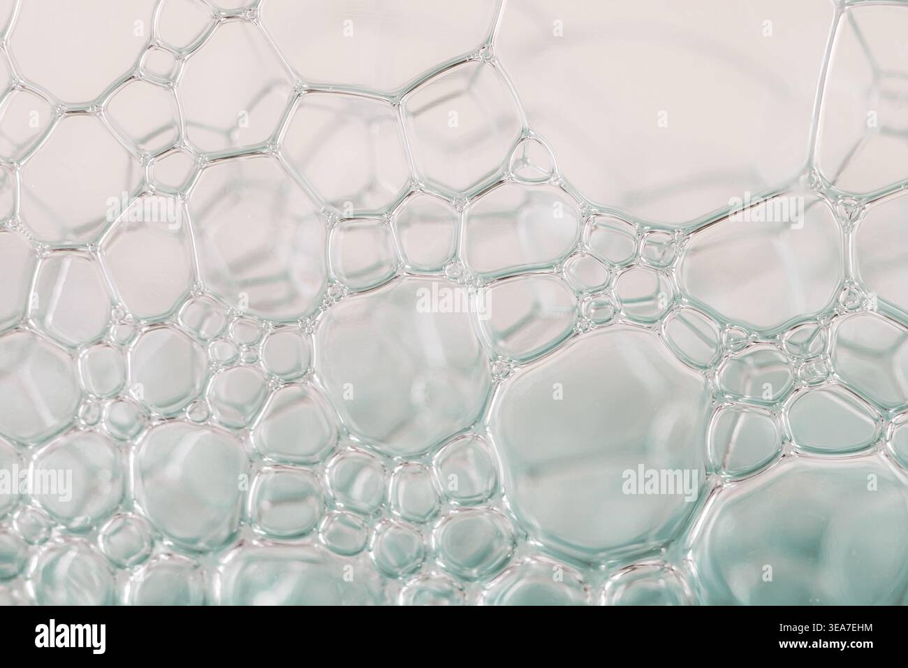 Close up abstract pattern of clear soap bubbles with a detailed cell structure Stock Photo
