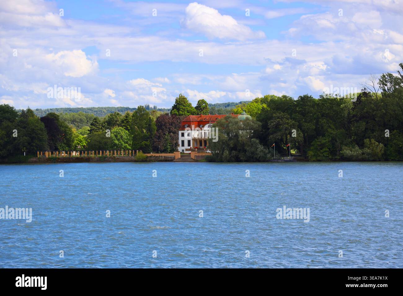 View across the Rhine to the manor house on the Königsklinger Aue in the Rhine near Eltville, Hesse, Germany Stock Photo
