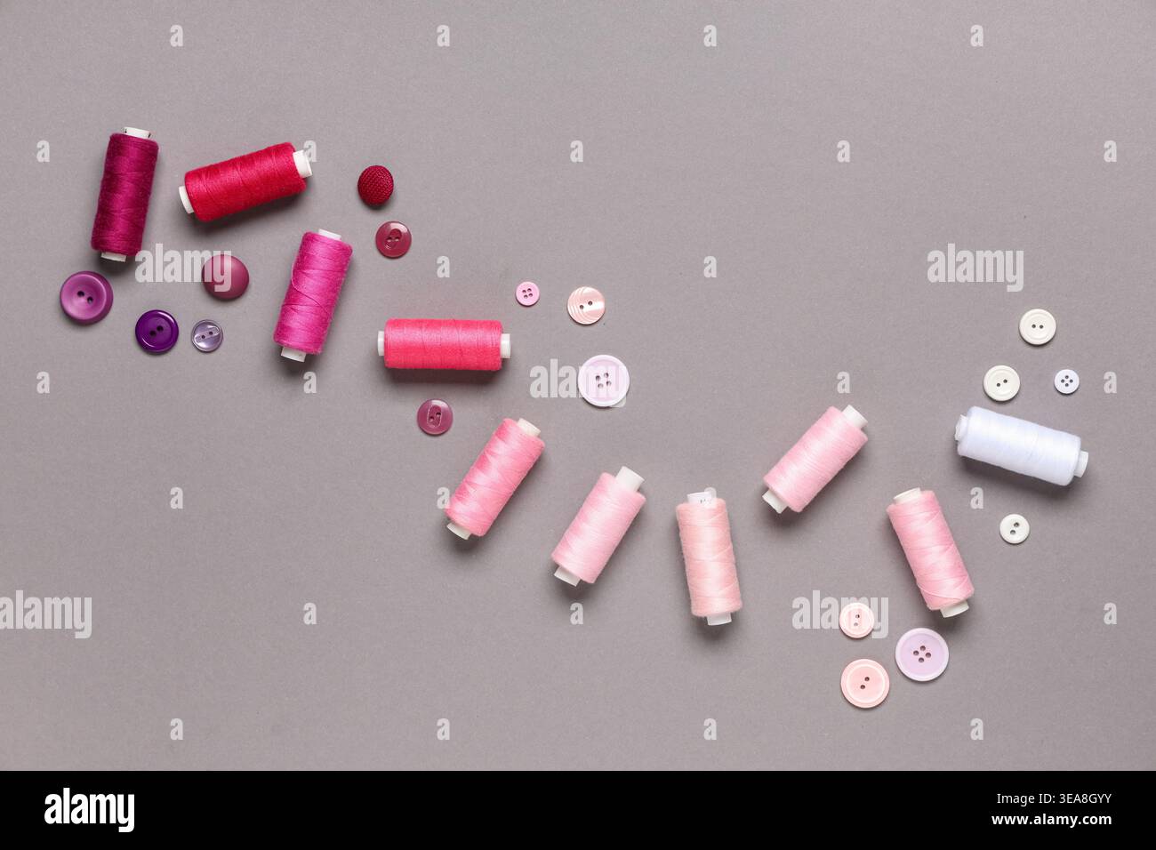Different pink thread spools and buttons on grey background Stock Photo