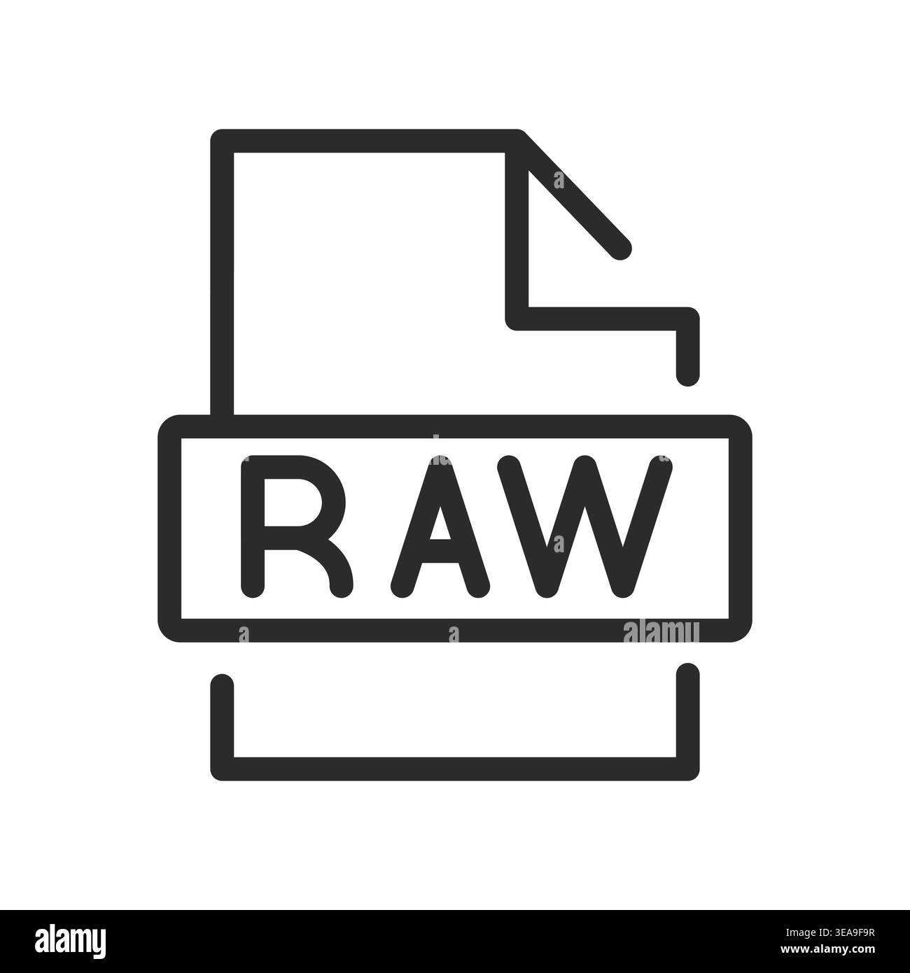 RAW File Format Icon Stock Vector