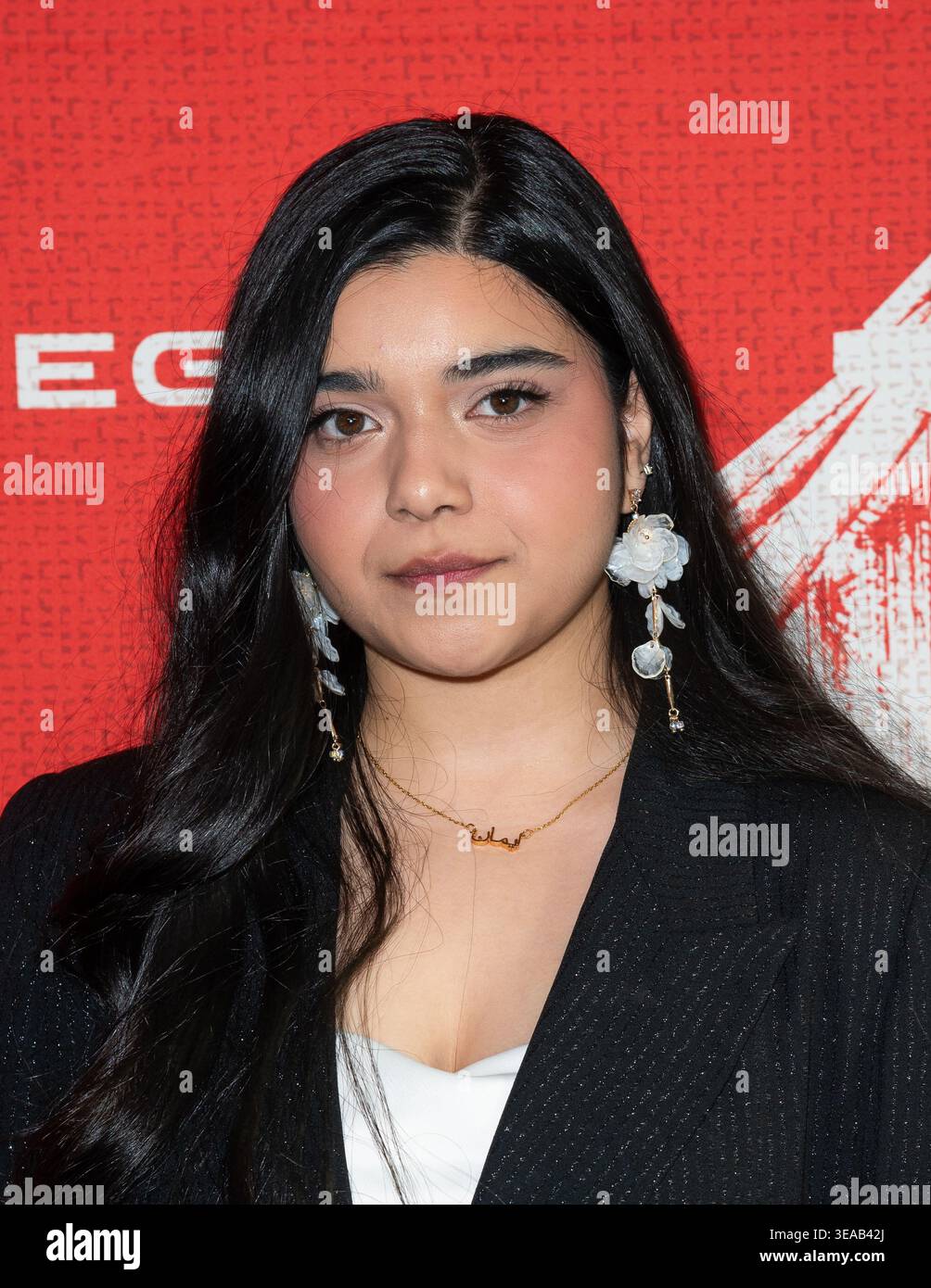 Who is Iman Vellani? Ms. Marvel's Rising Star