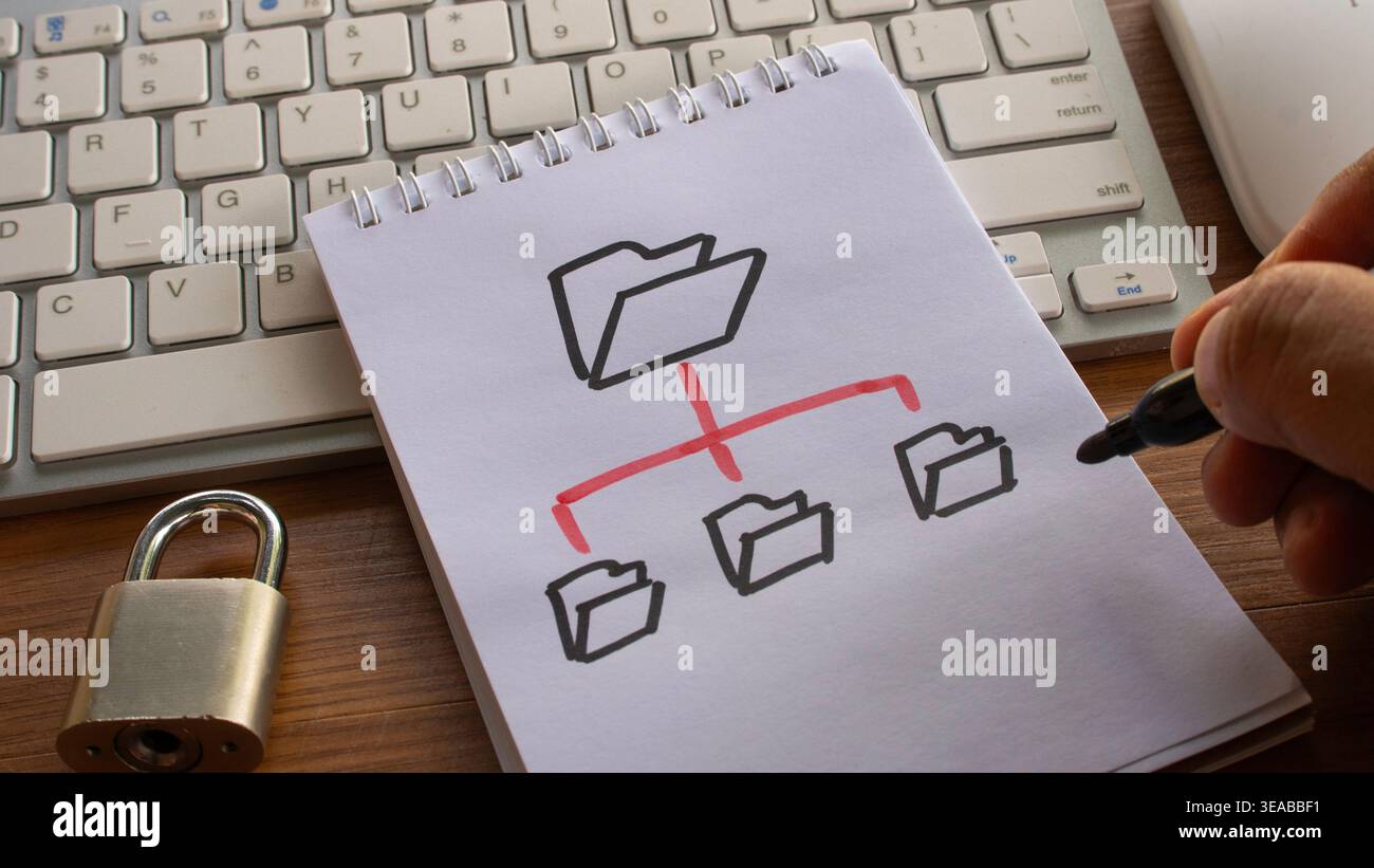Classification flowchart hi-res stock photography and images - Alamy