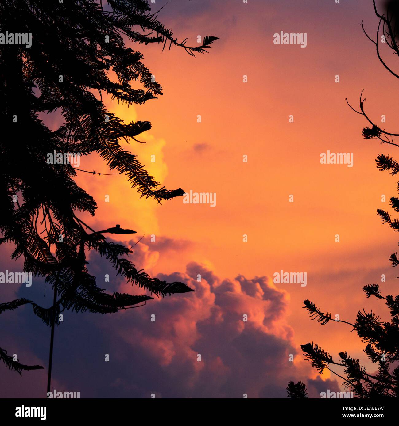 A vibrant sunset sky glows with orange and pink hues, framed by dark ...