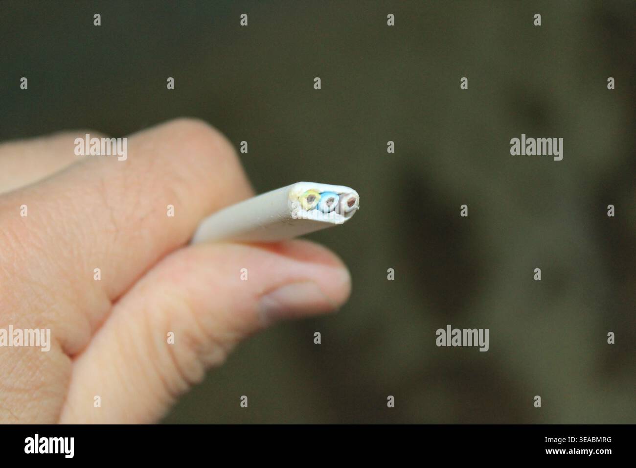 Hand holding a three-core electrical lighting cable showing the cross section Stock Photo