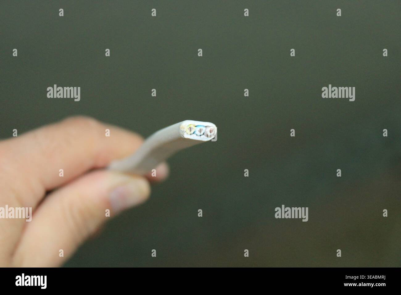 Hand holding a three-core electrical lighting cable showing the cross section Stock Photo