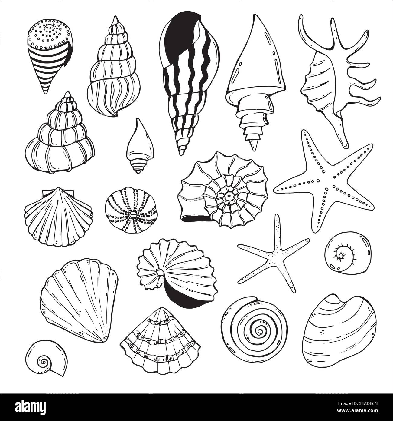 Underwater seashells hand painted line sketch Stock Vector