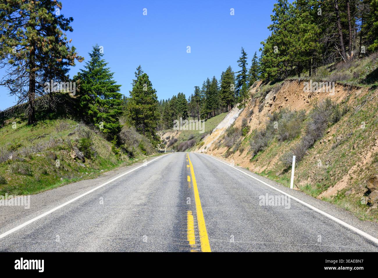 Two lane rural road passing cutting on ridge in Eastern Washington in springtime Stock Photo