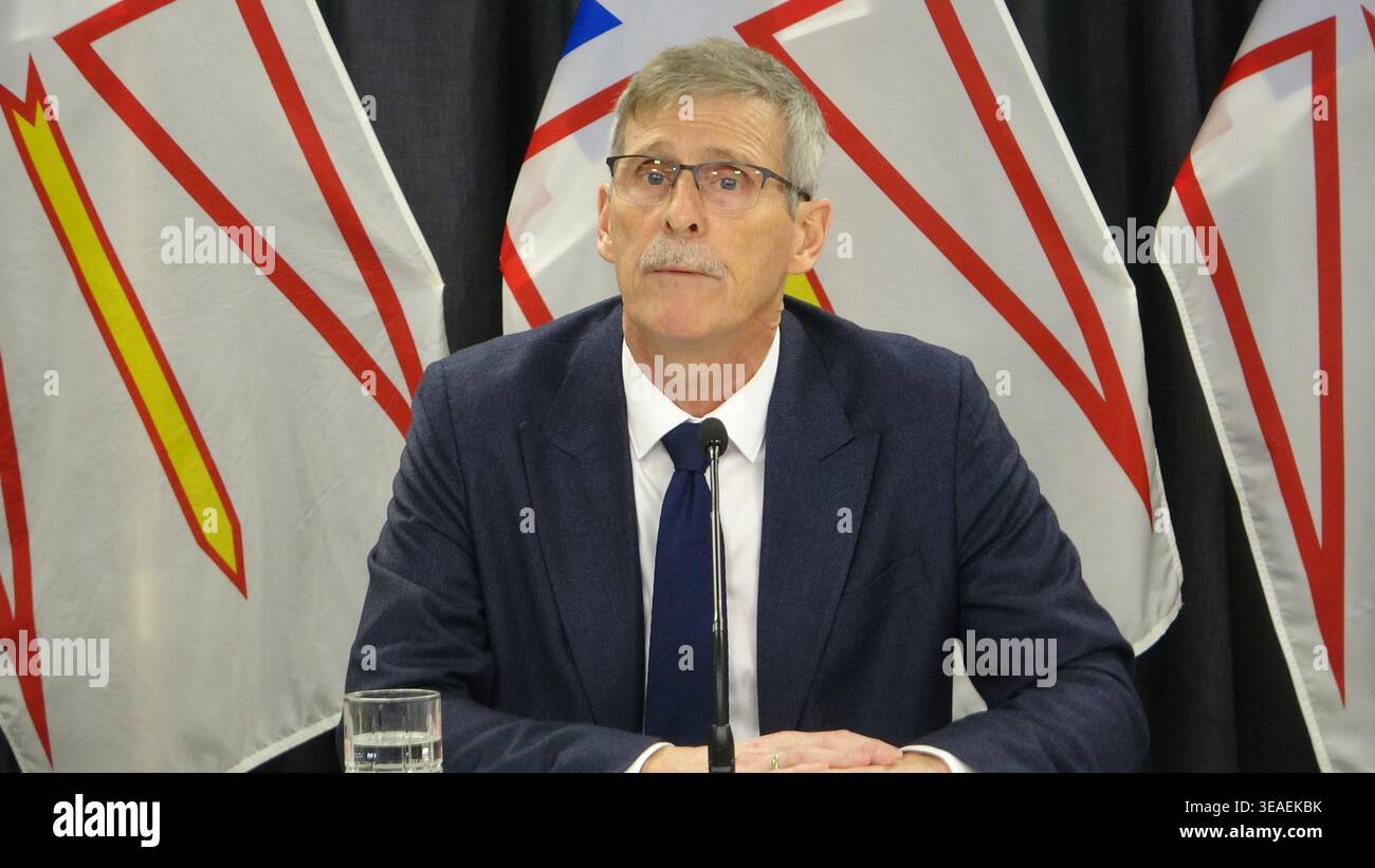 Newfoundland and Labrador Finance Minister Craig Pardy addresses ...