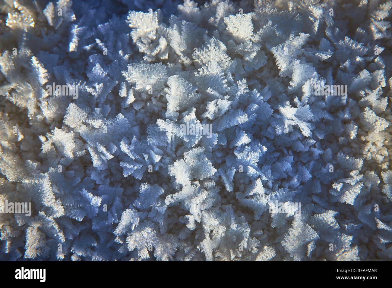 Macro Frost Crystal Texture Winter Abstract Stock Photo