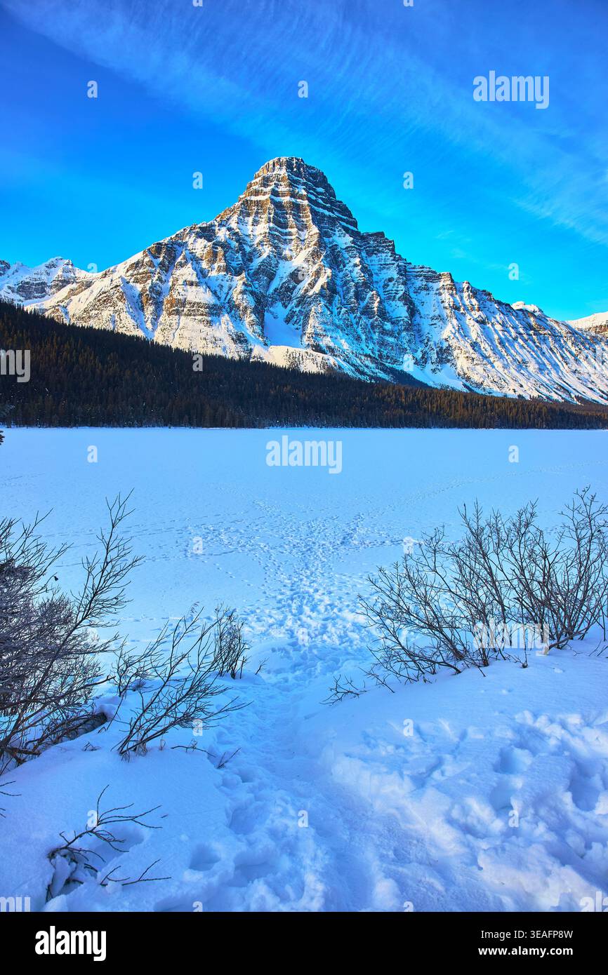 Snow Covered Mountain Frozen Lake and Winter Shrubs Under Clear Blue Sky Stock Photo