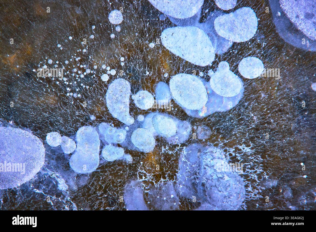 Frozen Methane Bubbles Under Ice Abstract Winter Lake Texture Stock Photo